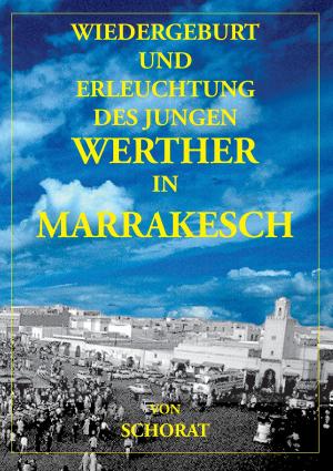bigCover of the book Wiedergeburt und Erleuchtung des jungen Werther in Marrakesch by 