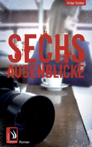 Cover of the book Sechs Augenblicke by Shawn P. B. Robinson