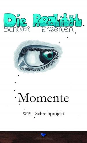Cover of the book Momente by Erik Schreiber