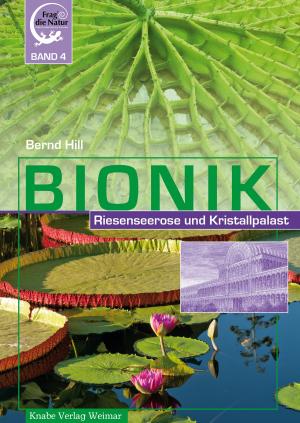 Cover of the book Bionik by Metin Bektas