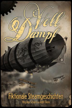 Book cover of Voll Dampf: Fiktionale Steamgeschichten