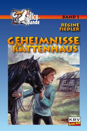 Cover of the book Geheimnisse im Rattenhaus by Jürgen Ehlers
