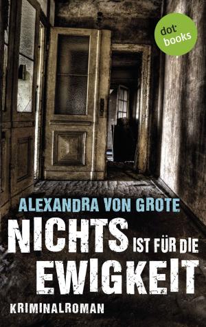 Cover of the book Nichts ist für die Ewigkeit by Kai Lindberg
