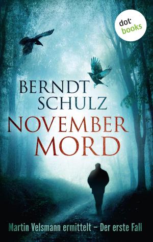 Cover of the book Novembermord: Martin Velsmann ermittelt - Der erste Fall by Regula Venske