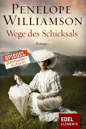 Cover of the book Wege des Schicksals by Julia Kröhn