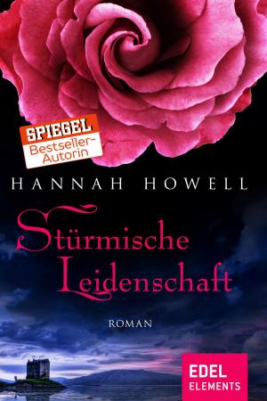 Book cover of Stürmische Leidenschaft