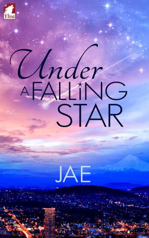 Book cover of Under a Falling Star