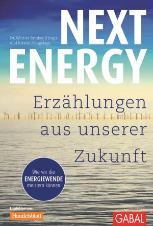 Cover of the book Next Energy by Andreas Buhr, Florian Feltes