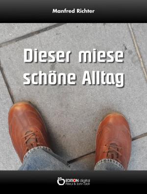 Cover of the book Dieser miese schöne Alltag by Rudi Czerwenka