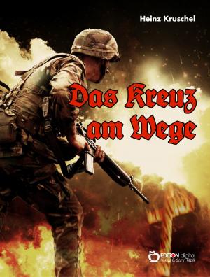 Cover of the book Das Kreuz am Wege by Karin Wimmer