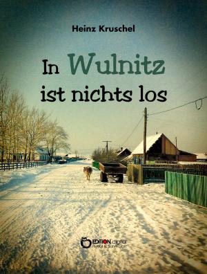 Cover of the book In Wulnitz ist nichts los by Ulrich Hinse