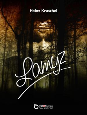 Cover of the book Lamyz by Dietmar Beetz