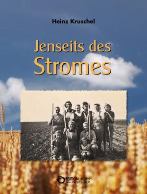 Cover of the book Jenseits des Stromes by Hildegard Schumacher, Siegfried Schumacher