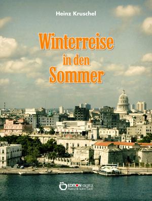 Book cover of Winterreise in den Sommer