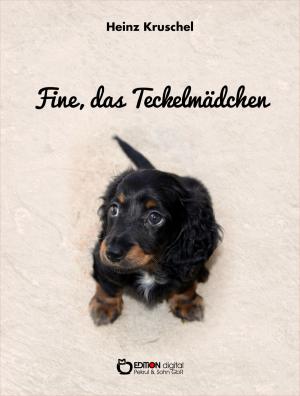 Book cover of Fine, das Teckelmädchen