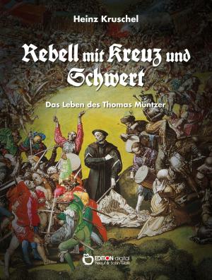 Book cover of Rebell mit Kreuz und Schwert