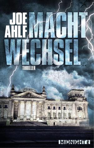 Cover of the book Machtwechsel by Walter Bachmeier