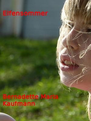 Cover of the book Elfensommer by Eckhard Schmittner