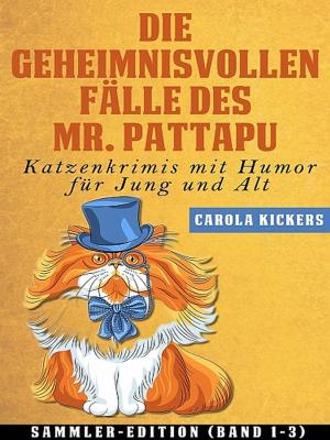 Cover of the book Die geheimnisvollen Fälle des Mr. Pattapu by Sophia Chase