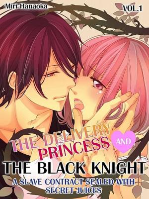 Book cover of The Delivery Princess and the Black Knight Vol.1