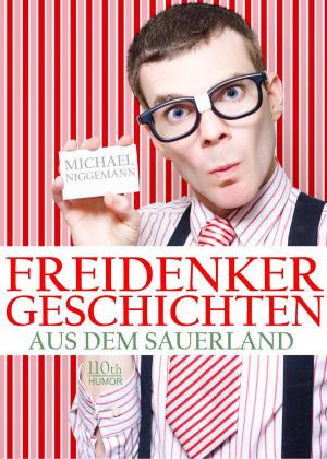 Book cover of Freidenker-Geschichten aus dem Sauerland