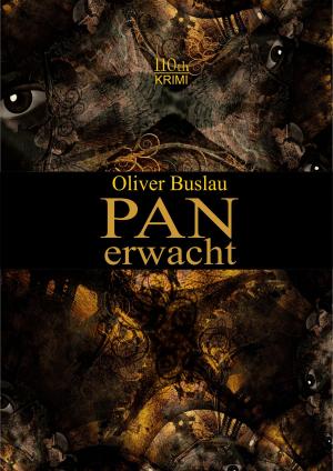 Cover of the book Pan erwacht by Jürgen Alberts