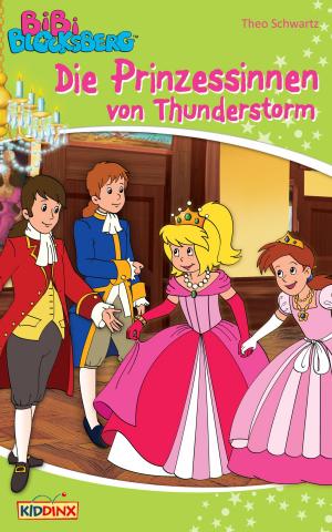 Cover of the book Bibi Blocksberg - Die Prinzessinnen von Thunderstorm by Vincent Andreas