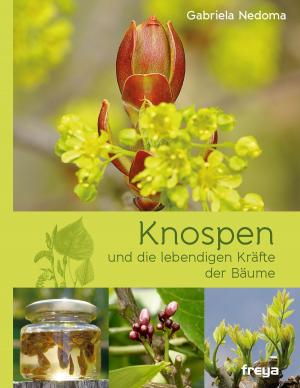 Cover of the book Knospen by Daniela Friedl, Miriam Emme