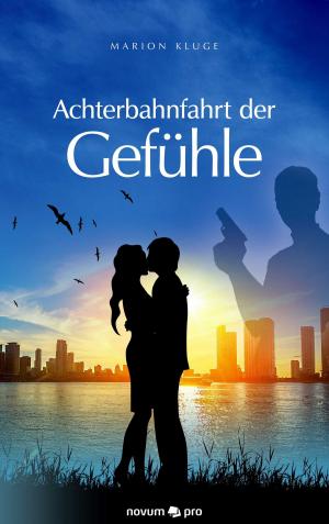 Cover of the book Achterbahnfahrt der Gefühle by O.A. Clement