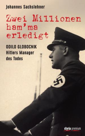 Cover of the book Zwei Millionen ham'ma erledigt by nachimson