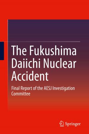 Cover of the book The Fukushima Daiichi Nuclear Accident by 