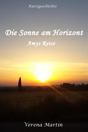 Cover of the book Die Sonne am Horizont - Amys Reise by Robin Martel