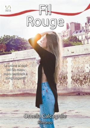 Cover of the book Fil Rouge by Hailey North