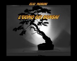 Book cover of l'uomo dei bonsai