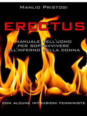 Cover of the book Erectus by Justin Valmassoi