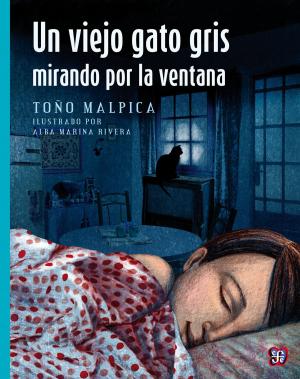 Cover of the book Un viejo gato gris mirando por la ventana by Jaime Sabines