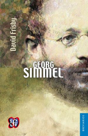 Book cover of Georg Simmel