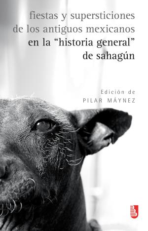 Cover of the book Fiestas y supersticiones de los antiguos mexicanos en la "Historia general" de Sahagún by Ramón  López Velarde