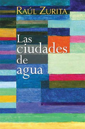 Cover of the book Las ciudades de agua by David Huerta