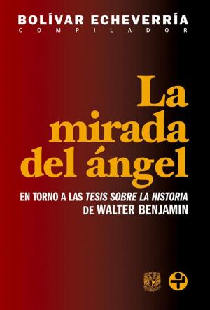 Cover of the book La mirada del ángel by Fernando Benítez