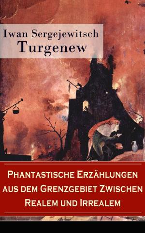 Cover of the book Phantastische Erzählungen aus dem Grenzgebiet zwischen Realem und Irrealem by Jaz Johnson