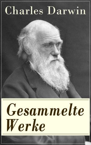 Cover of the book Gesammelte Werke by Max Eyth