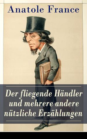Book cover of Der fliegende Händler und mehrere andere nützliche Erzählungen