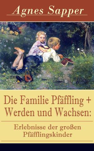 Book cover of Die Familie Pfäffling + Werden und Wachsen: Erlebnisse der großen Pfäfflingskinder