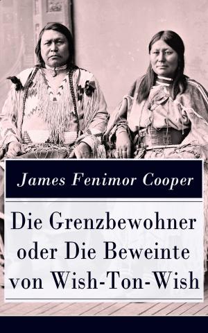 Cover of the book Die Grenzbewohner oder Die Beweinte von Wish-Ton-Wish by E. T. A. Hoffmann