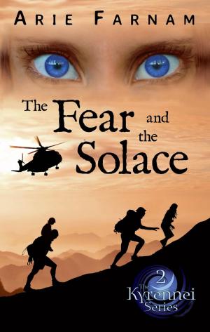 Cover of the book The Fear and the Solace by Chris Kridler