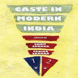 Cover of the book Caste in Modern India by Robin Jeffrey