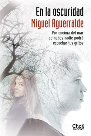 Cover of the book En la oscuridad by Alberto Vázquez-Figueroa