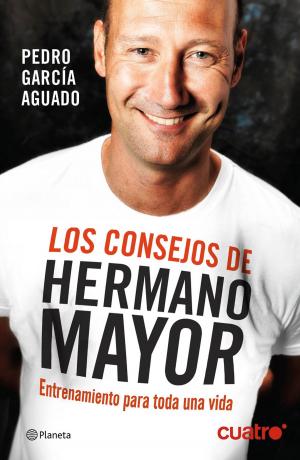 Cover of the book Los consejos de Hermano Mayor by Isaac Rosa