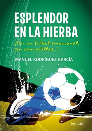 Cover of the book Esplendor en la hierba by Daniel Huerta Goya